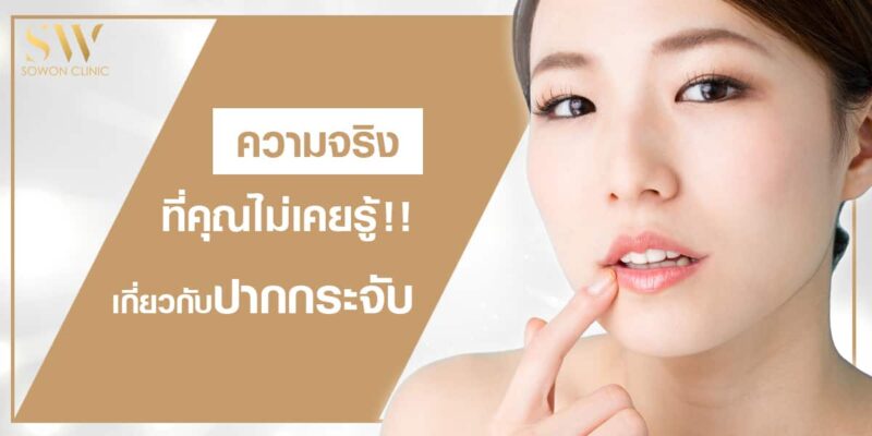 ความจริงเกี่ยวกับ ปากกระจับ