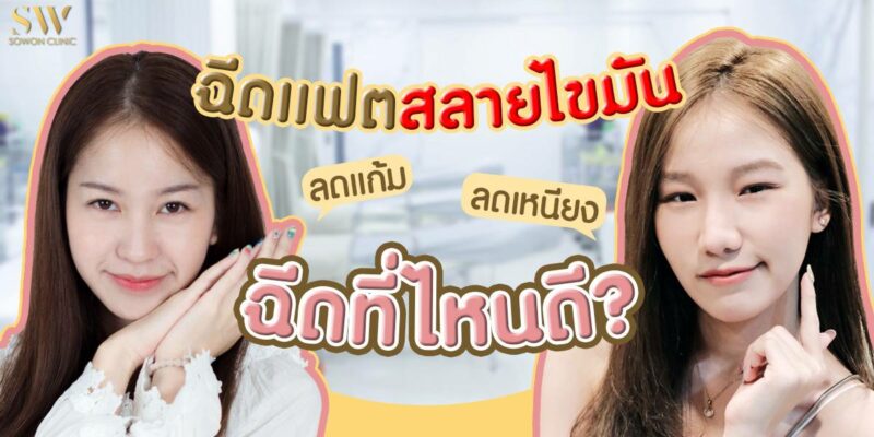 บทความเมโสแฟต