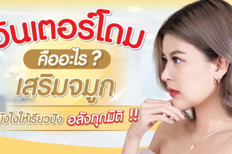 อินเตอร์โดม