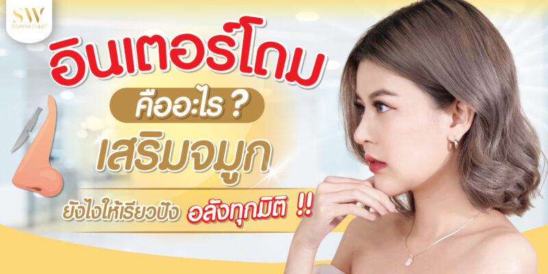 อินเตอร์โดม คืออะไร-01 อินเตอร์โดม