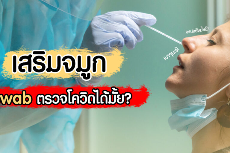 เสริมจมูก Swab