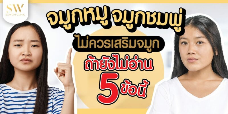 จมูกหมู จมูกชมพู่ ไม่ควรเสริมจมูก