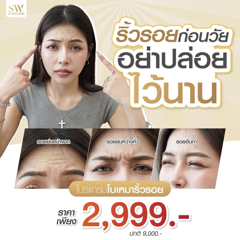 โปรแกรมโบลดริ้วรอย 2999