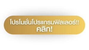 ฟิลเลอร์ใต้ตา โปรโมชั่น