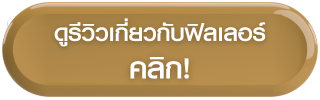ดูรีวิวเกี่ยวกับฟิลเลอร์
