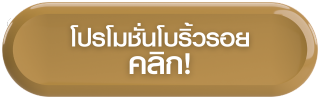 โปรโมชั่นโบริ้วรอย
