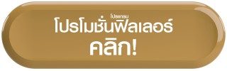 โปรโมชั่นโปรแกรมฟิลเลอร์