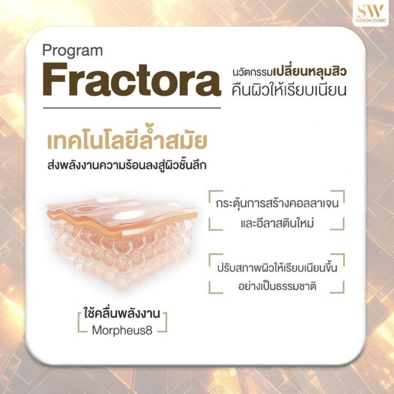 หลุมสิว โปรแกรม