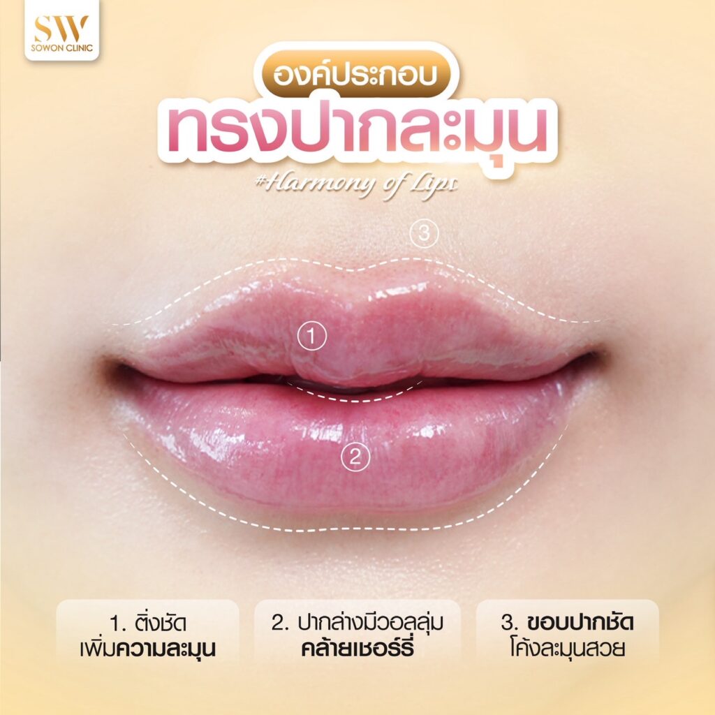Harmony Of Lips องค์ประกอบของปาก