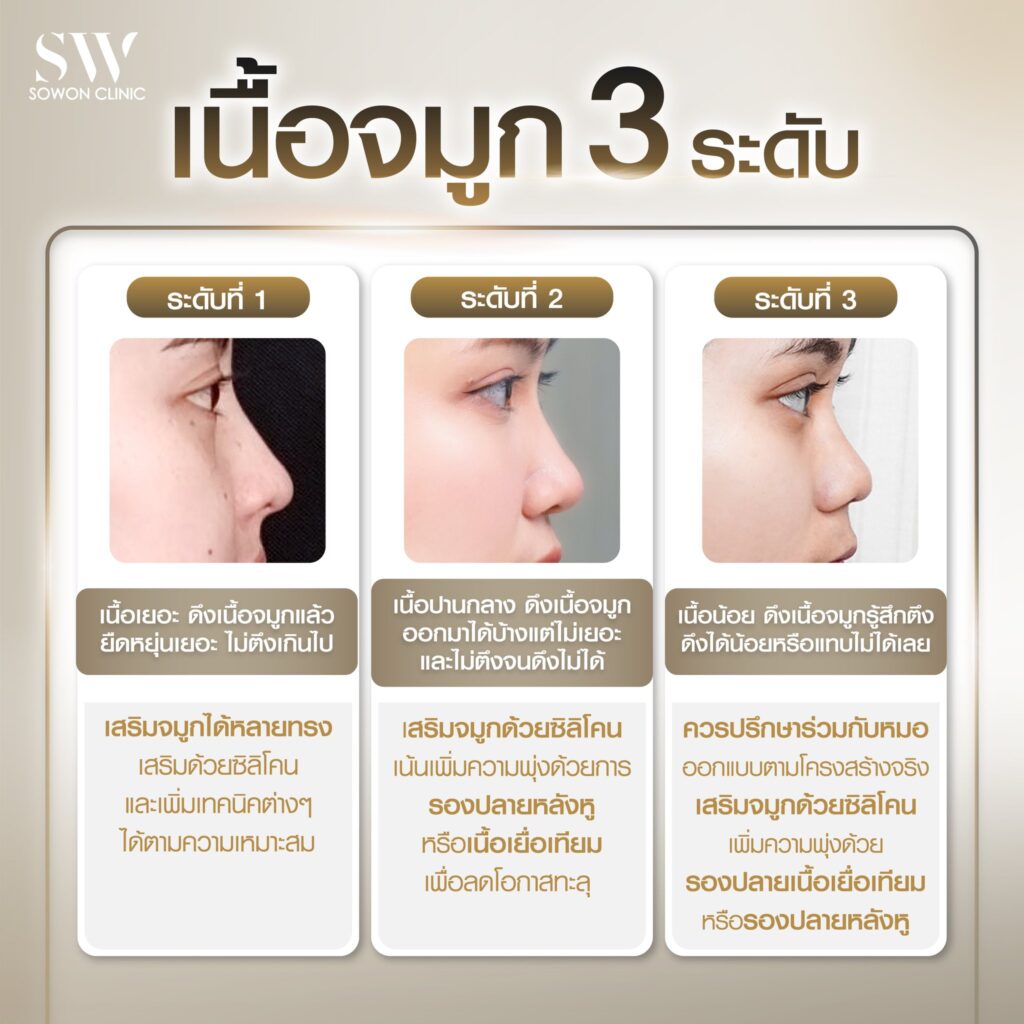 ทรงจมูกสโลปปลายพุ่ง เนื้อจมูก