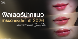 cat-lips-filler-corner-lift_skin-filler_knowledge