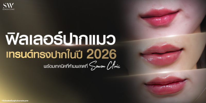 cat-lips-filler-corner-lift_skin-filler_knowledge